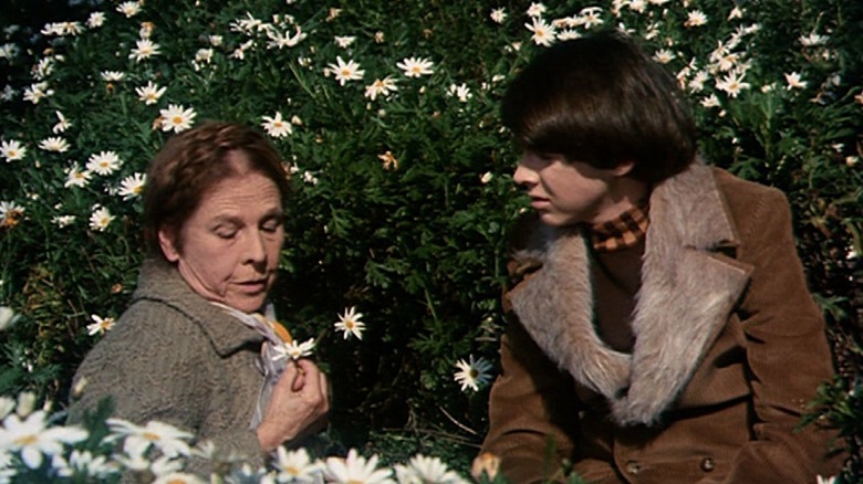 Harold and Maude sitting near flowers