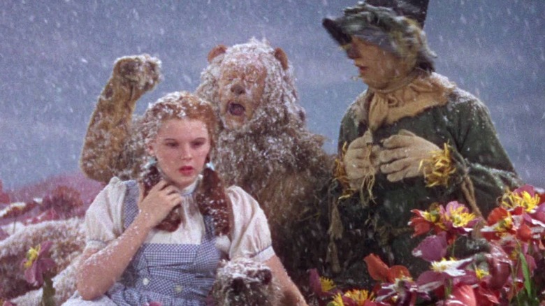 Dorothy and cast in snow and poppies