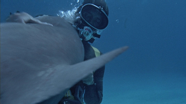 Diver struggling with shark