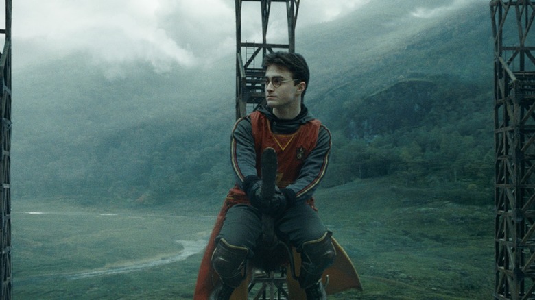 Harry on his broomstick