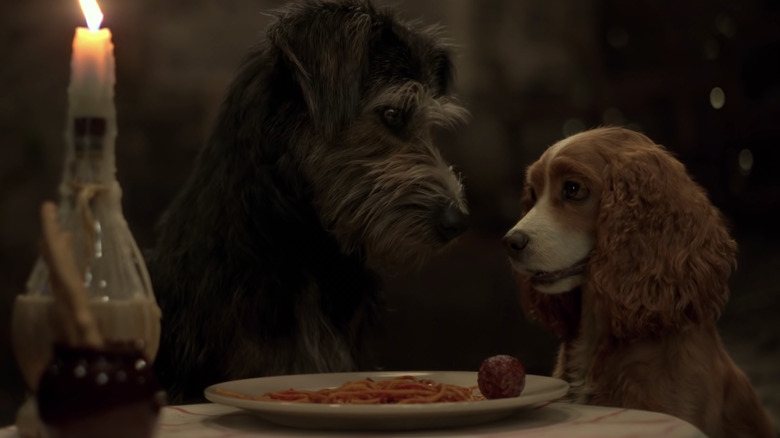 Lady and Tramp have dinner