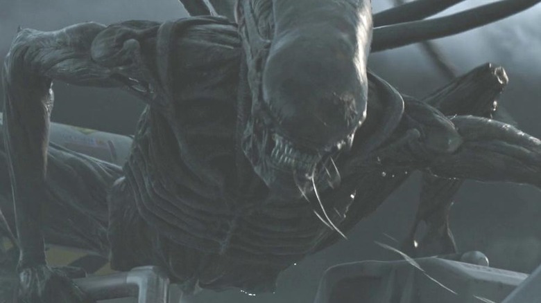 Xenomorph drooling 