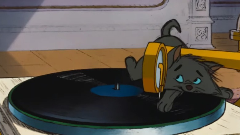 Cat stuck on turntable