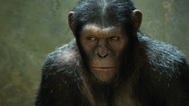 Caesar in Planet of the Apes