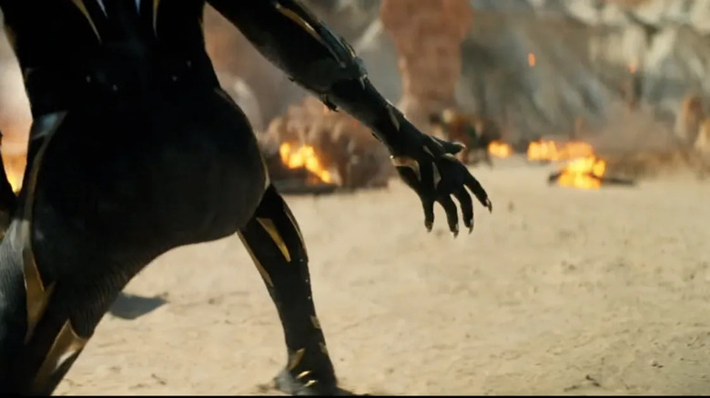 The new Black Panther gearing up for battle