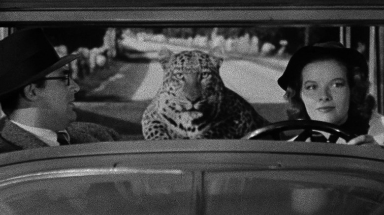 Susan, Huxley, and Baby leopard in car