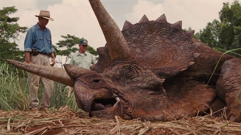 Dr. Grant looks at triceratops