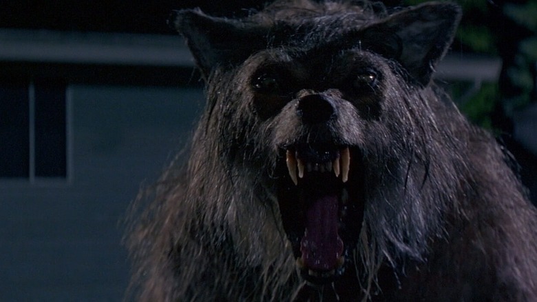 A werewolf snarling