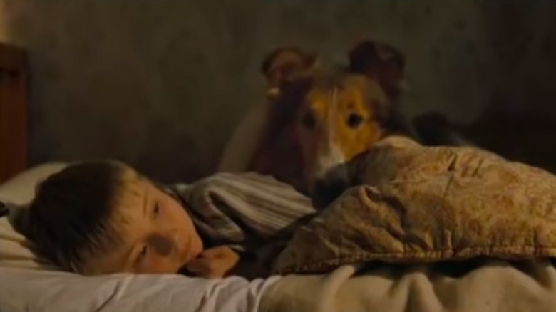 Jonathan Mason and dog laying in bed