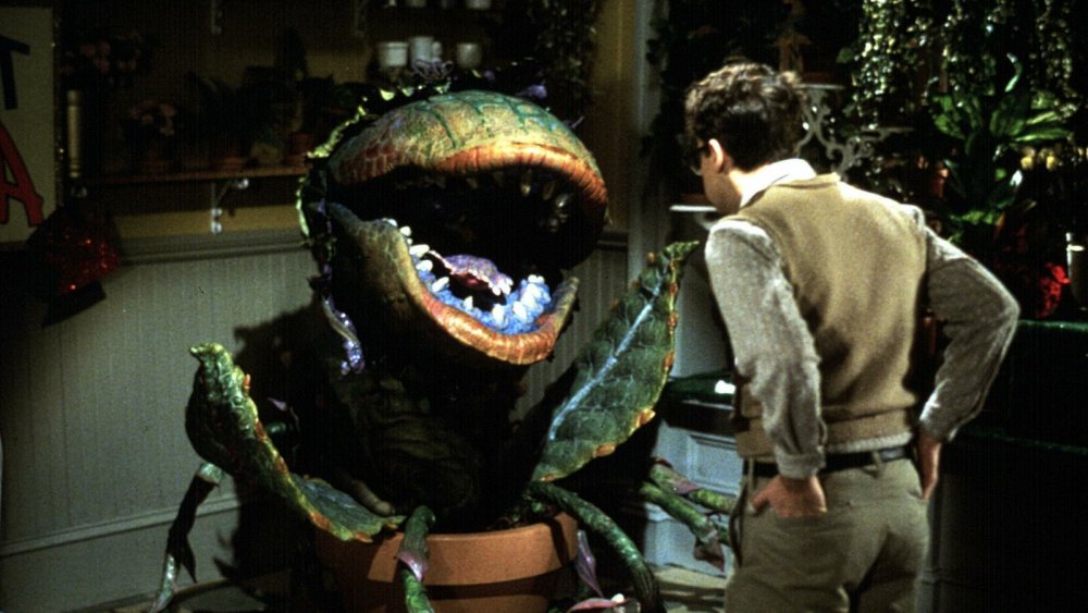 Rick Moranis in Little Shop of Horrors