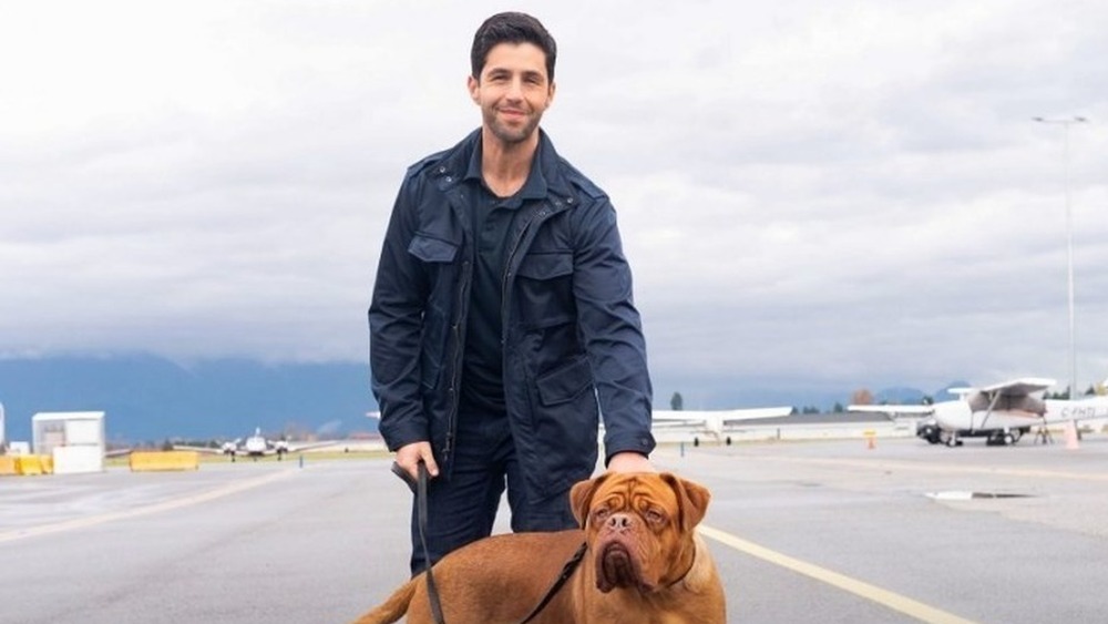 man holding dog with tilted head