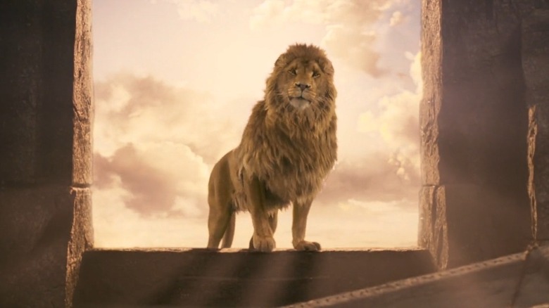 Aslan standing in the sun