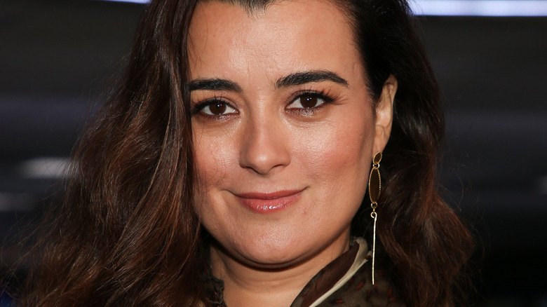 Cote de Pablo smiling