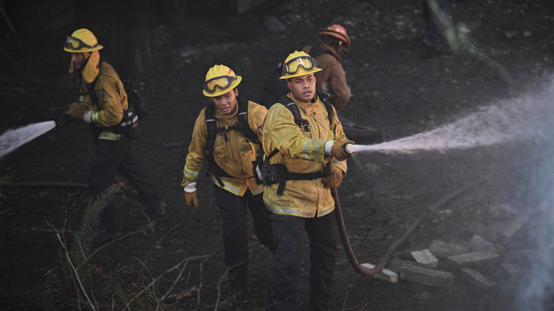 Firefighters hosing forest