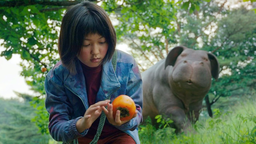 Okja and Mija pick fruit