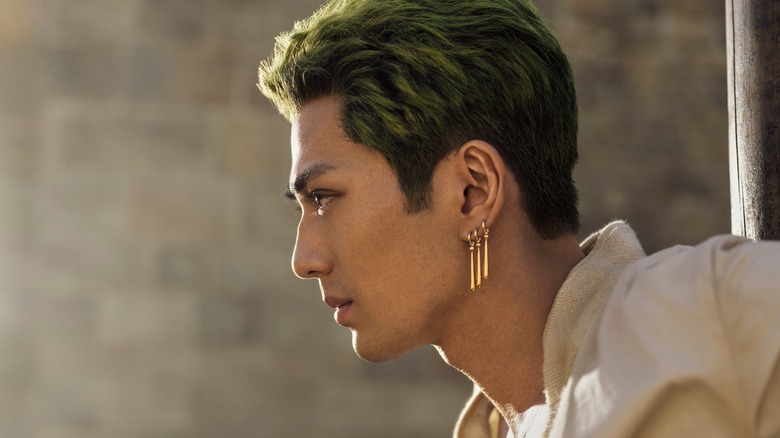 Zoro Face in Profile