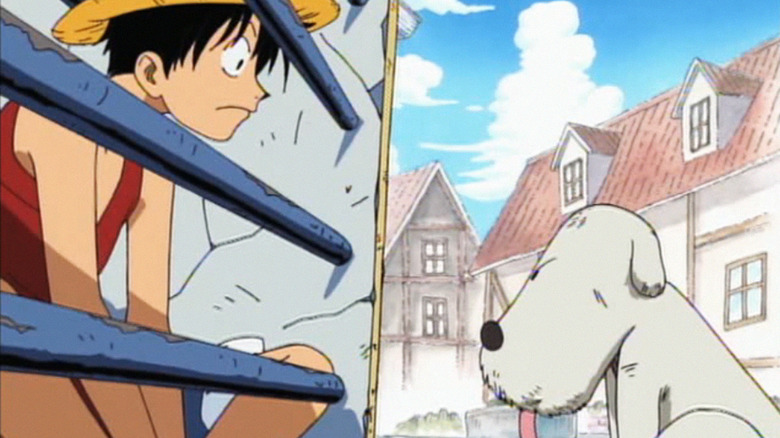 Luffy in Cage Opposite Chouchou