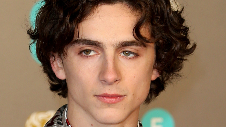 Timothée Chalamet looking off camera