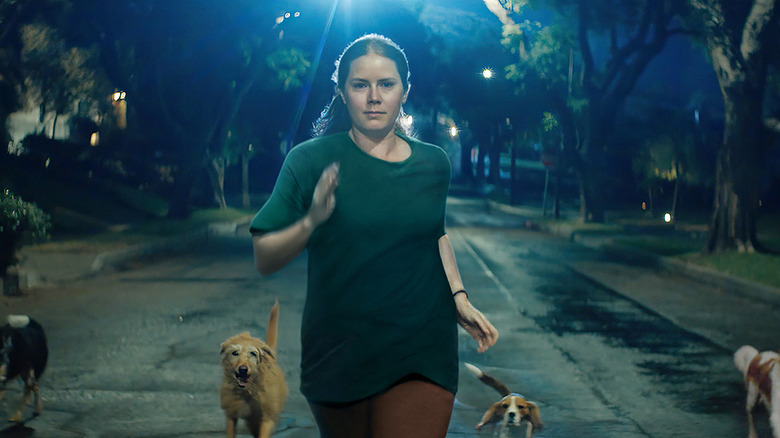 Mother running with dogs