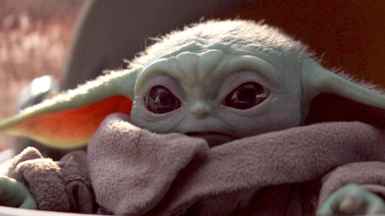 Baby Yoda staring