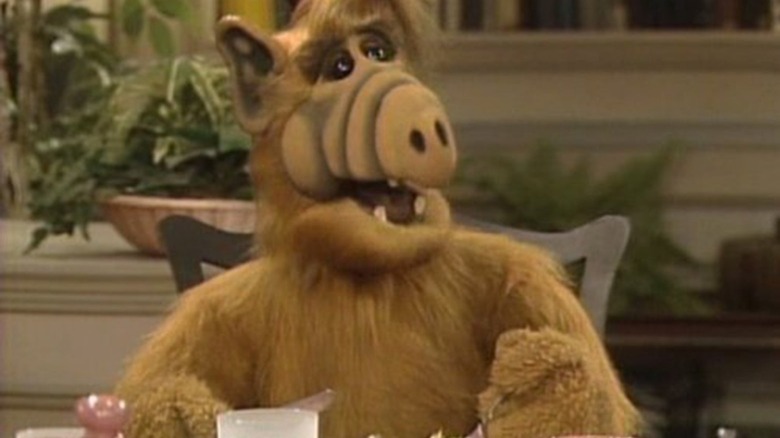 ALF eating at the table