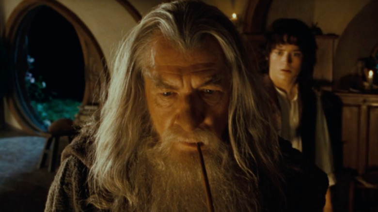 Ian McKellen as Gandalf in Lord of the Rings