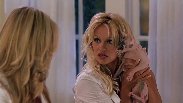 Pamela Anderson holding a hairless cat