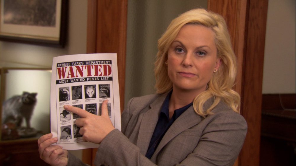 Amy Poehler as Leslie Knope on Parks and Recreation