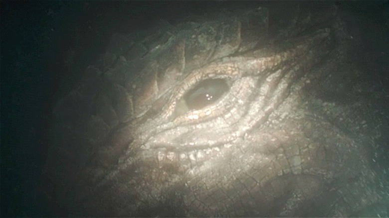The eye of a Mythosaur 