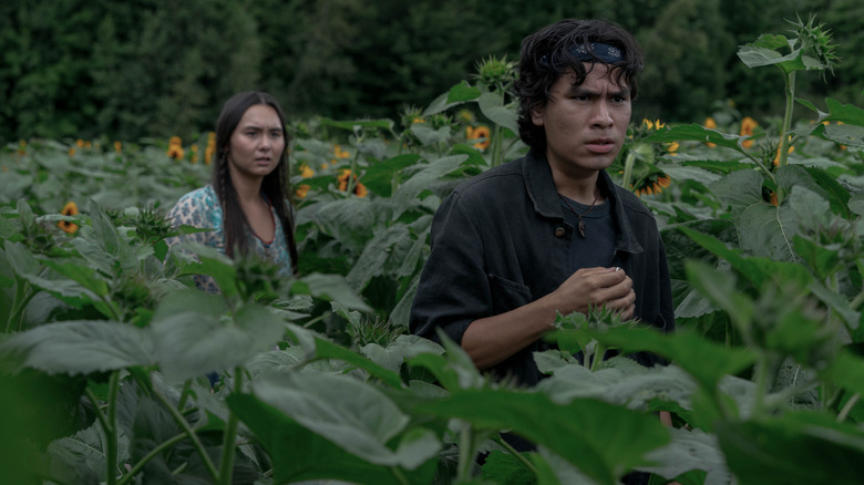 Manny and Donna wandering through sunflowers