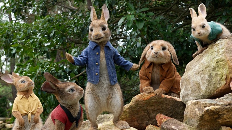 Peter and the other rabbits