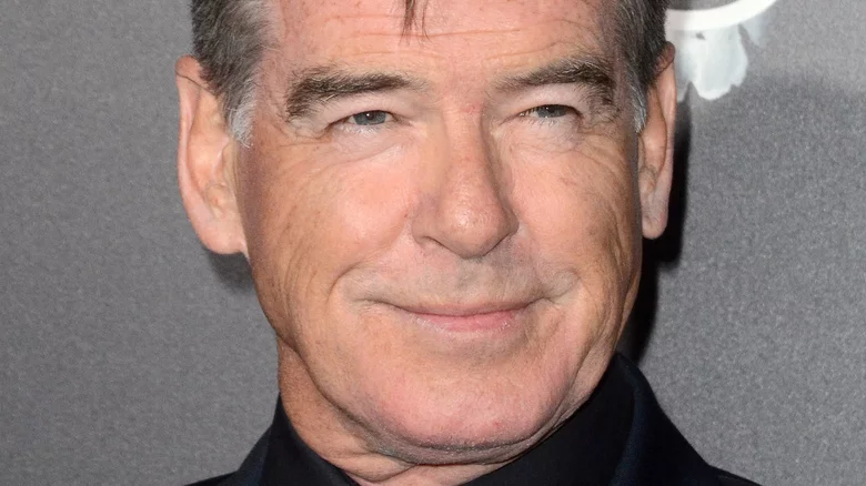 Pierce Brosnan's Heartwarming Connection To His Mamma Mia! Character