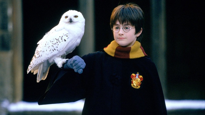 Harry Potter and the Sorceror's Stone Daniel Radcliffe holding snowy owl