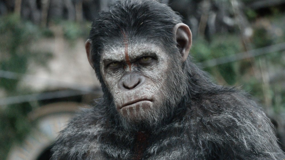 Still from Dawn of the Planet of the Apes