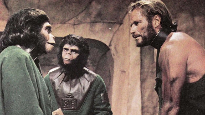 Taylor argues with Zira and Cornelius