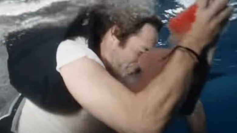 Poopies bitten by a shark