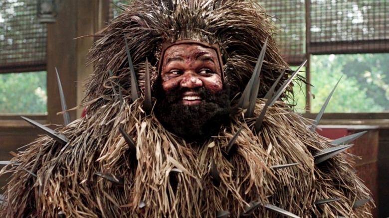 Porcupine unmasked