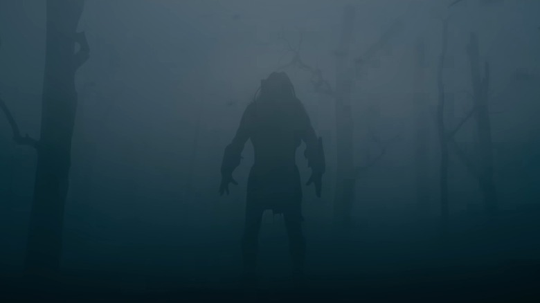 The Predator in the mist