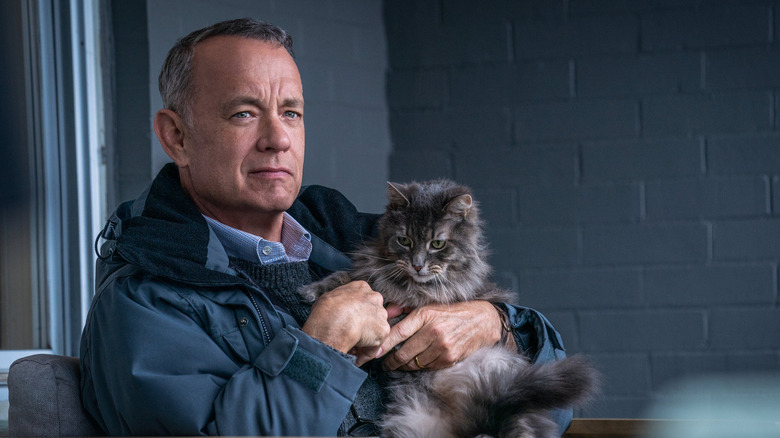 Tom Hanks cuddling with a cat