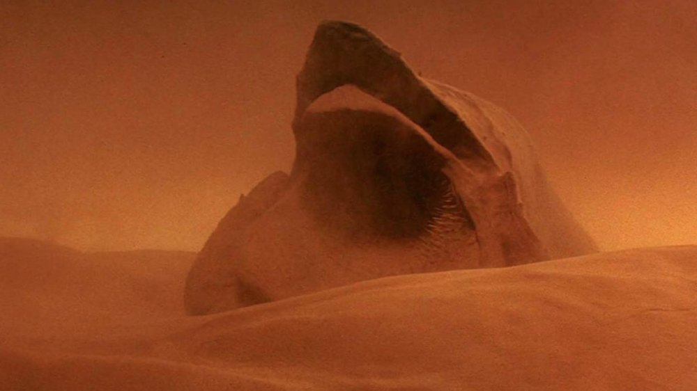 Dune