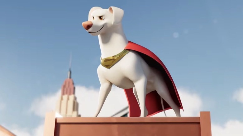 Krypto wearing cape