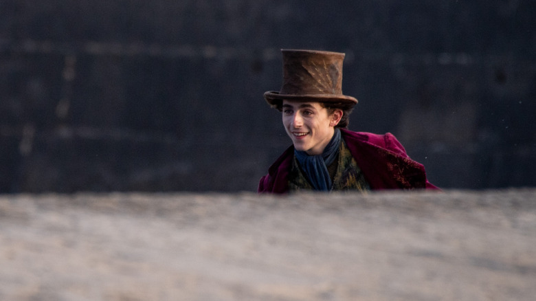 Timothee Chalamet wearing a hat