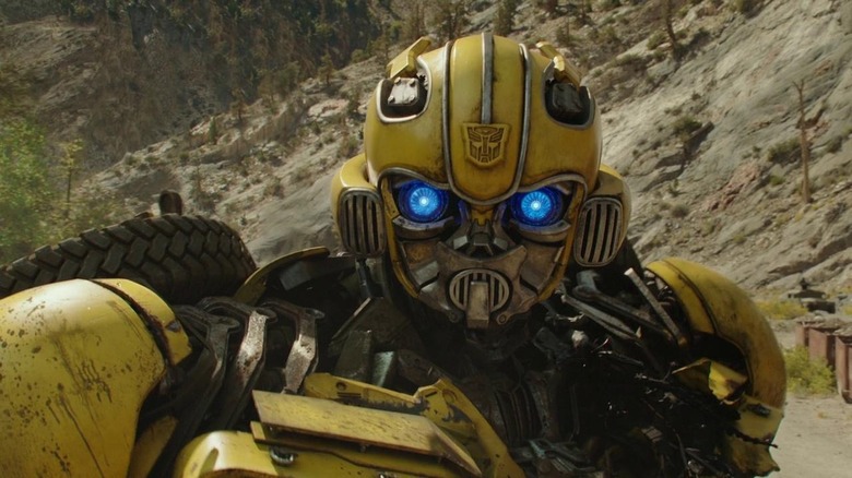 Bumblebee staring