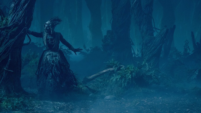 The witch in the woods