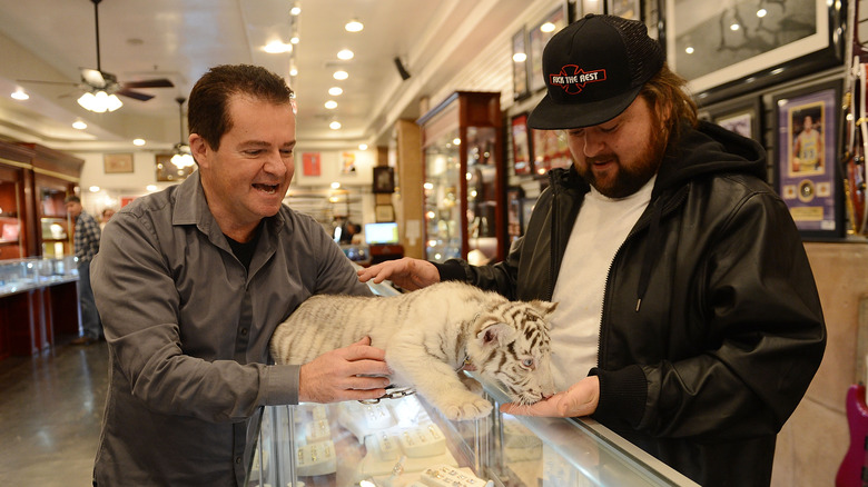 Chumlee petting tiger on counter