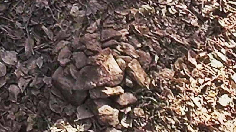 Rocks in Blair Witch Project