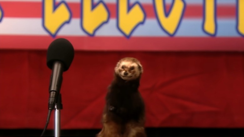 The Weasel in Ned's Declassified