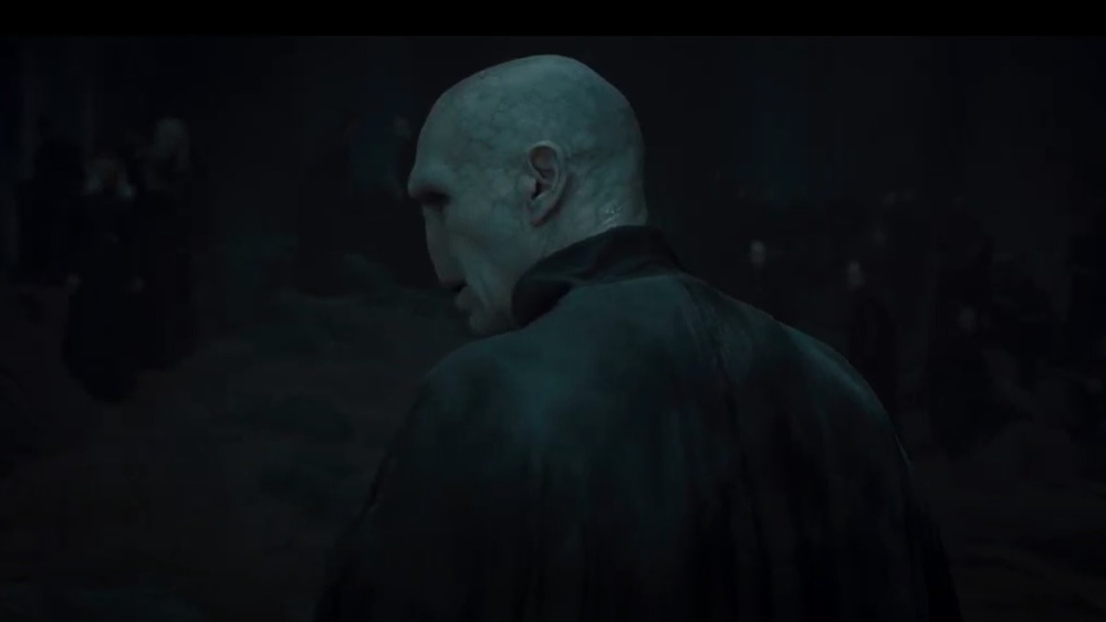 Ralph Fiennes as Voldemort