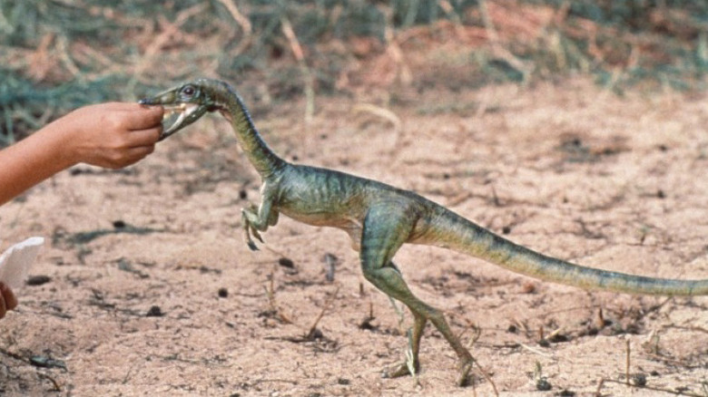 Compsognathus in The Lost World