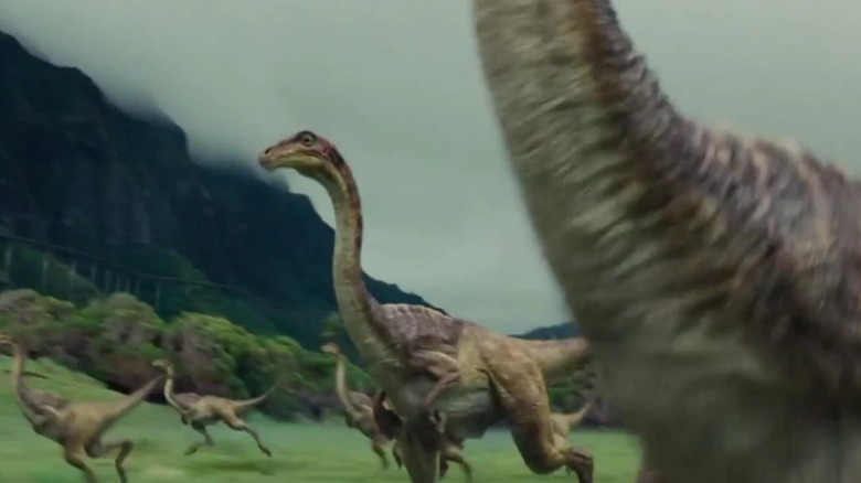 Gallimimus running in Jurassic Park